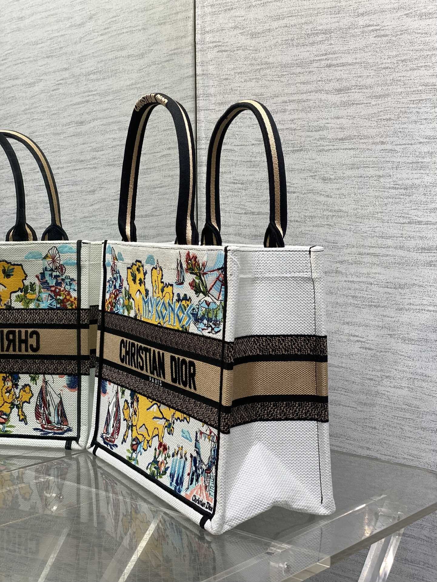 Bolsa Christian Dior