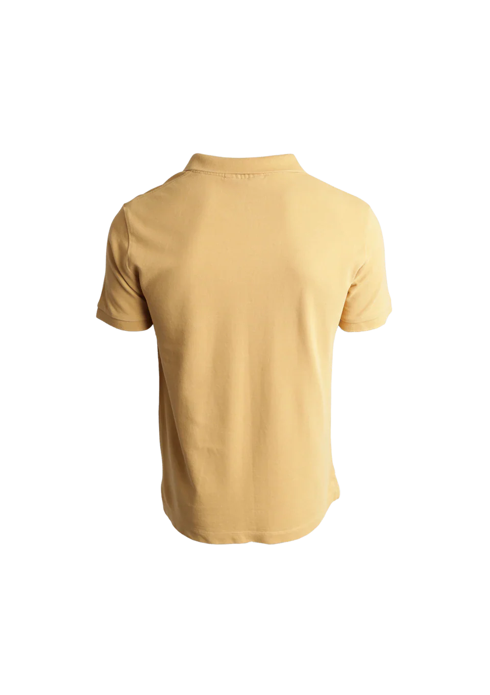 Polo Burberry Beige Gold