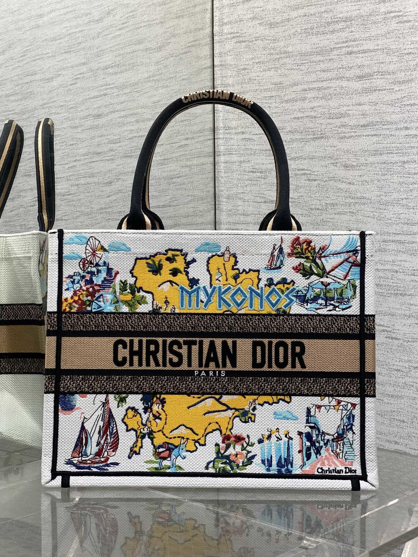Bolsa Christian Dior